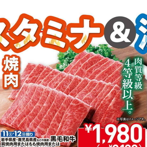 牛焼き肉用
