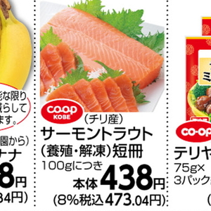 サーモン（さく取り）