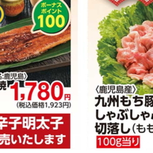 うなぎの蒲焼き