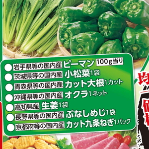 こまつ菜