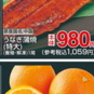 まぐろ（刺身）