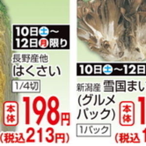 はくさい