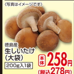 しいたけ