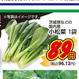 こまつ菜