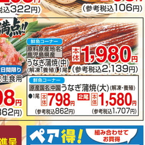 うなぎの蒲焼き