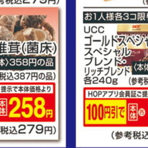 しいたけ
