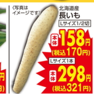 ながいも