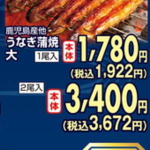 うなぎの蒲焼き