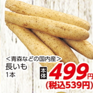 ながいも