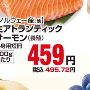 サーモン（刺身）