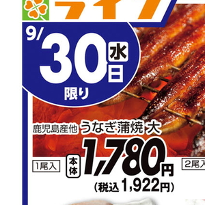 うなぎの蒲焼き
