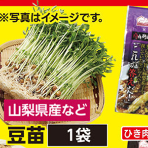 豆苗