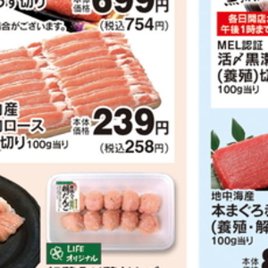 豚ロース薄切り