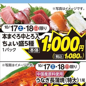 まぐろ中とろ