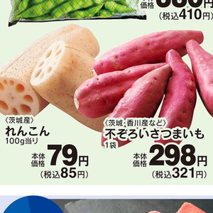 レンコン
