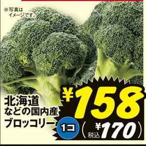 ブロッコリー