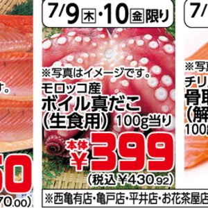 たこ（ボイル）
