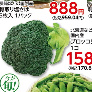 ブロッコリー