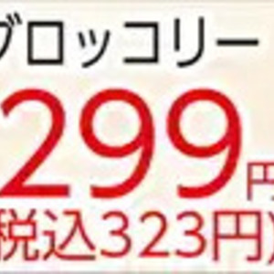 ブロッコリー