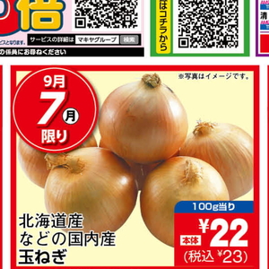 たまねぎ