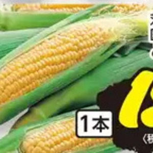 とうもろこし