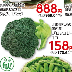 ブロッコリー