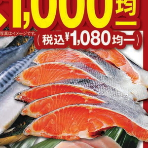 しじみ