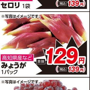 みょうが