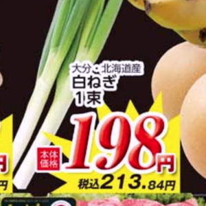 ながねぎ