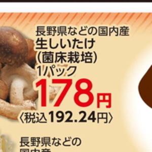 しいたけ