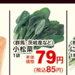 こまつ菜