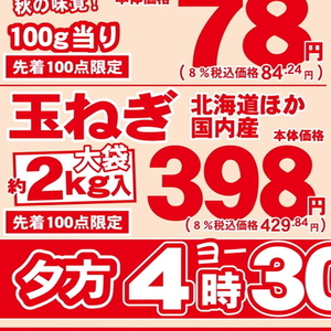 たまねぎ