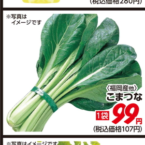 こまつ菜