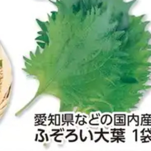 おおば