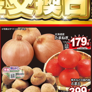 たまねぎ