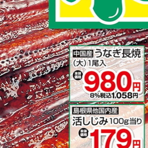 うなぎの蒲焼き
