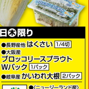 はくさい