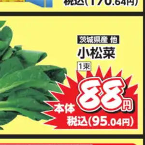 こまつ菜