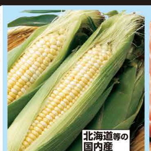 とうもろこし