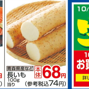 ながいも