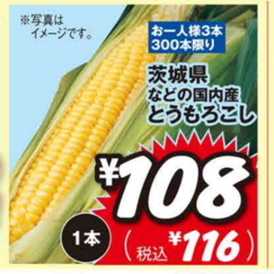 とうもろこし