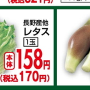 レタス