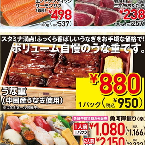 うなぎの蒲焼き
