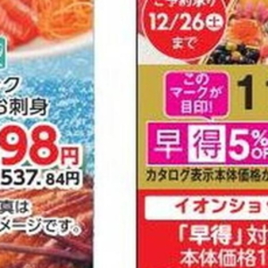 サーモン（さく取り）