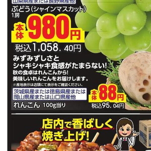 レンコン