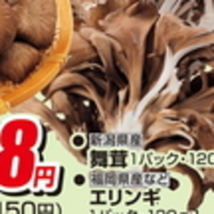 エリンギ