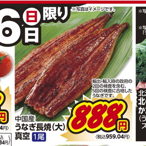 うなぎの蒲焼き