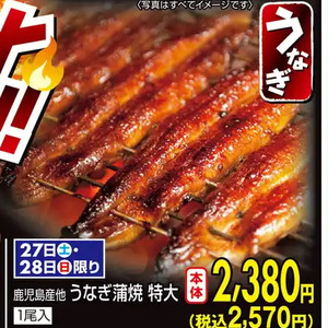 うなぎの蒲焼き