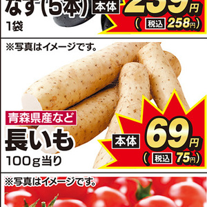 ながいも