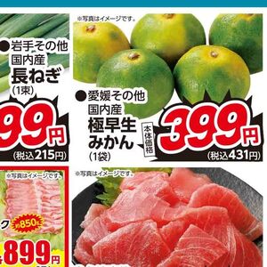 ながねぎ